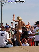 springfling Show Images Page 3